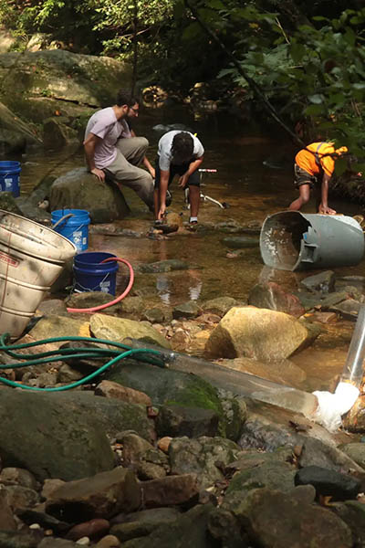 A photo of children playing in a stream. There is a bike sitting on a rock, a trashcan in the stream, as well as hoses and pipes.